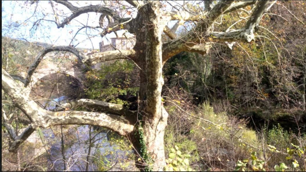 Le Moulin Aux Chandelles 2, Vacances & W-E, Vues Riviere, Montagne & Ville, Tout Confort Deconnecte, Eclairage Bougies, Connexions A 200M Au Centre Le Vigan Gite Les Amoureux De L'Arre, Randonnee Chemin De Saint-Guilhem-Le-Desert, Lire Profil Avant R Dış mekan fotoğraf